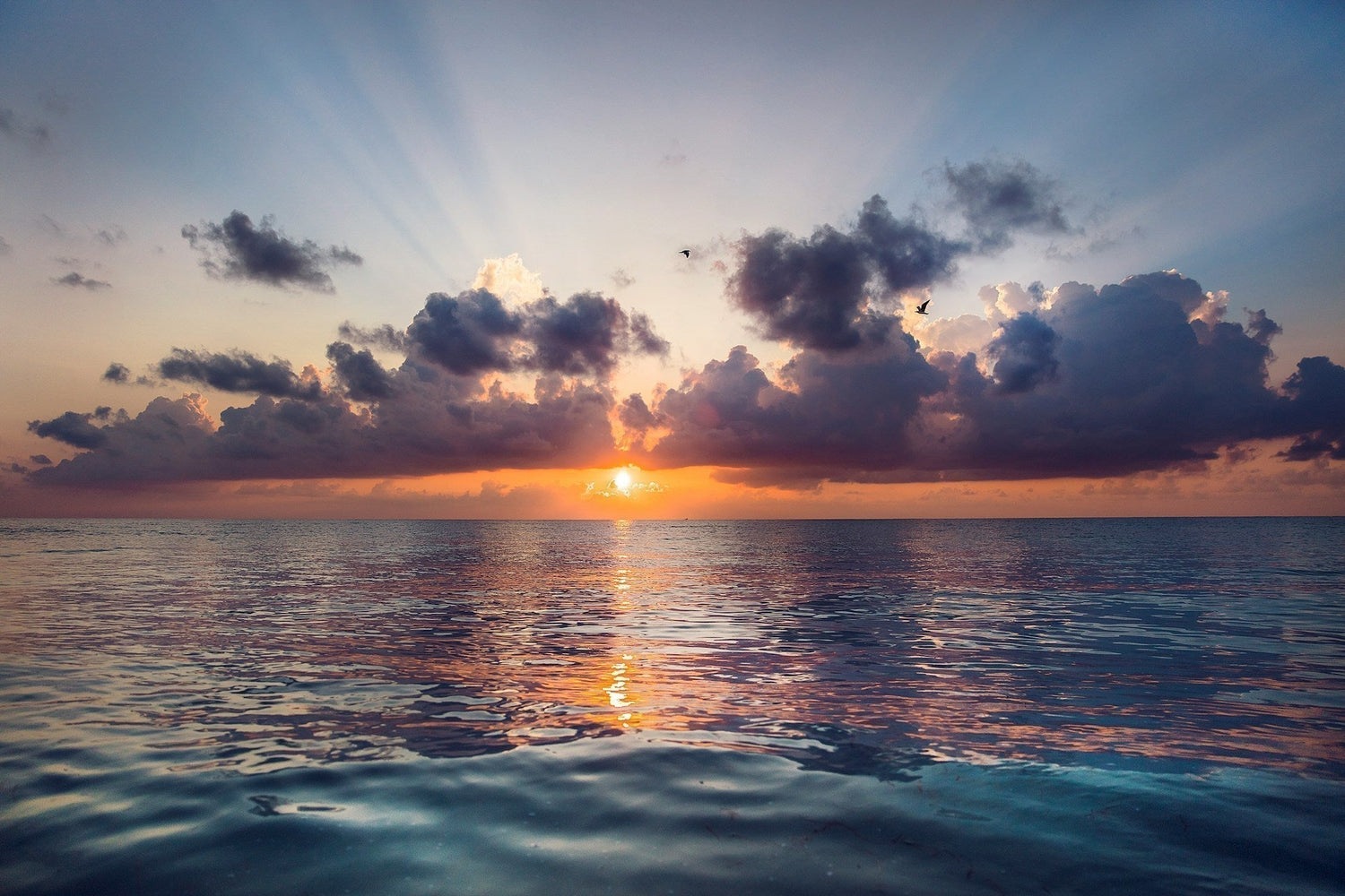 Before the World Speaks | Why the First Voice You Hear Each Morning Matters
