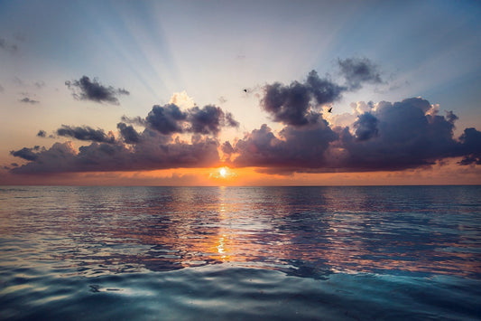 Before the World Speaks | Why the First Voice You Hear Each Morning Matters